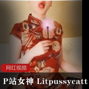 P站女神Litpussycatt的旗袍黑丝作品